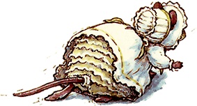 Иллюстрация к книге — Сказки и истории Ежевичной поляны (сборник) [i_190.jpg]