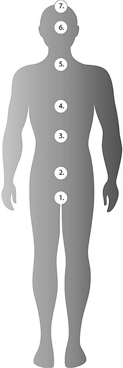 Иллюстрация к книге — Цели и ценности. Как перестать быть таким, как все [i_001.jpg]