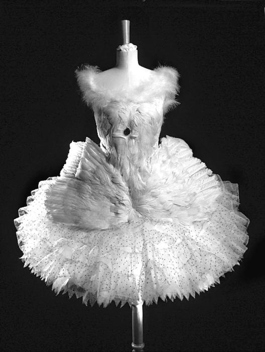 Иллюстрация к книге — Моя жена – Анна Павлова [_113.jpg]