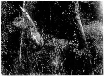 Иллюстрация к книге — Затерянные в Шангри-Ла [i_021.jpg]