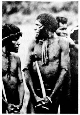 Иллюстрация к книге — Затерянные в Шангри-Ла [i_025.jpg]