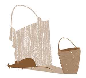 Иллюстрация к книге — Следователь Карасик. 12 загадок для детей и родителей [i_010.jpg]