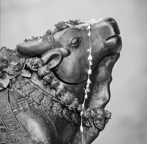 Иллюстрация к книге — Эверест. Кому и за что мстит гора? [_025.jpg]