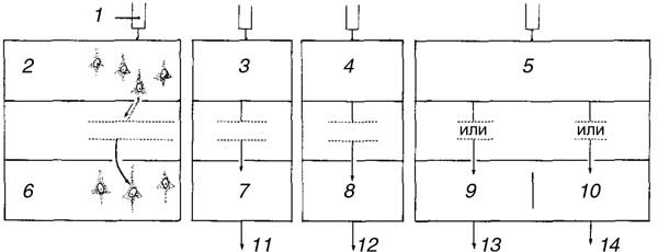Иллюстрация к книге — Мозг. Тайны разума [i_014.jpg]