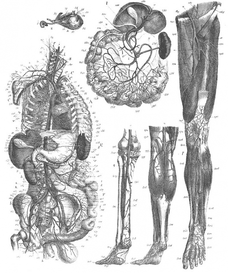 Иллюстрация к книге — Мозг. Тайны разума [i_033.jpg]