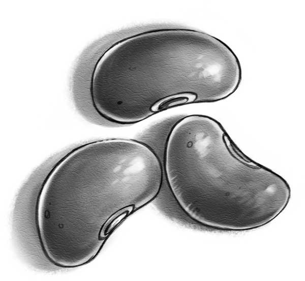 Иллюстрация к книге — Страна Сказок. Возвращение Колдуньи [i_016.jpg]