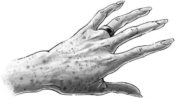 Иллюстрация к книге — Страна Сказок. Возвращение Колдуньи [i_019.jpg]