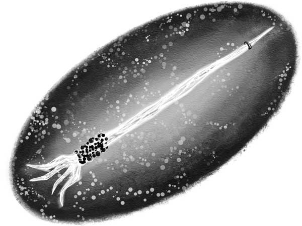 Иллюстрация к книге — Страна Сказок. Возвращение Колдуньи [i_029.jpg]