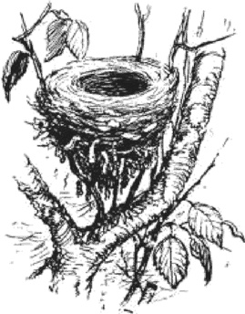 Иллюстрация к книге — Максимка, Толик и каляки-маляки (сборник) [i_009.jpg]