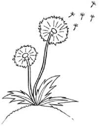 Иллюстрация к книге — Максимка, Толик и каляки-маляки (сборник) [i_010.jpg]