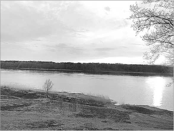 Иллюстрация к книге — Окрестности Петербурга. Из истории ижорской земли [i_019.jpg]