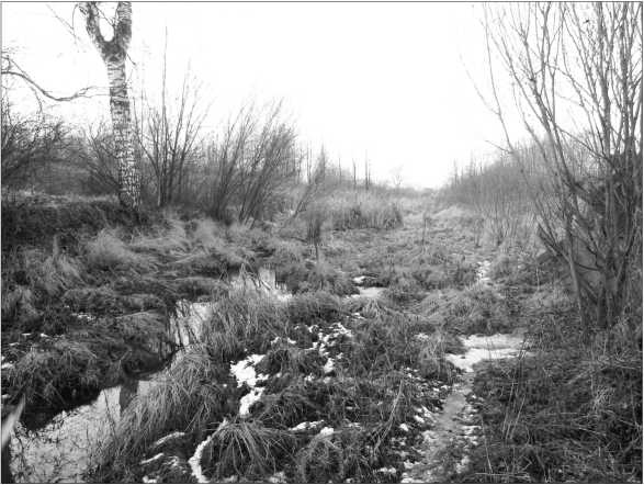 Иллюстрация к книге — Окрестности Петербурга. Из истории ижорской земли [i_035.jpg]