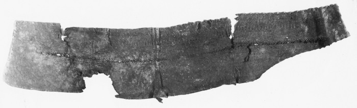 Иллюстрация к книге — Окрестности Петербурга. Из истории ижорской земли [i_109.jpg]