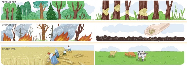 Иллюстрация к книге — Как жили на Руси [i_047.jpg]