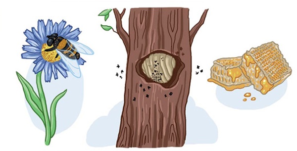 Иллюстрация к книге — Как жили на Руси [i_057.jpg]