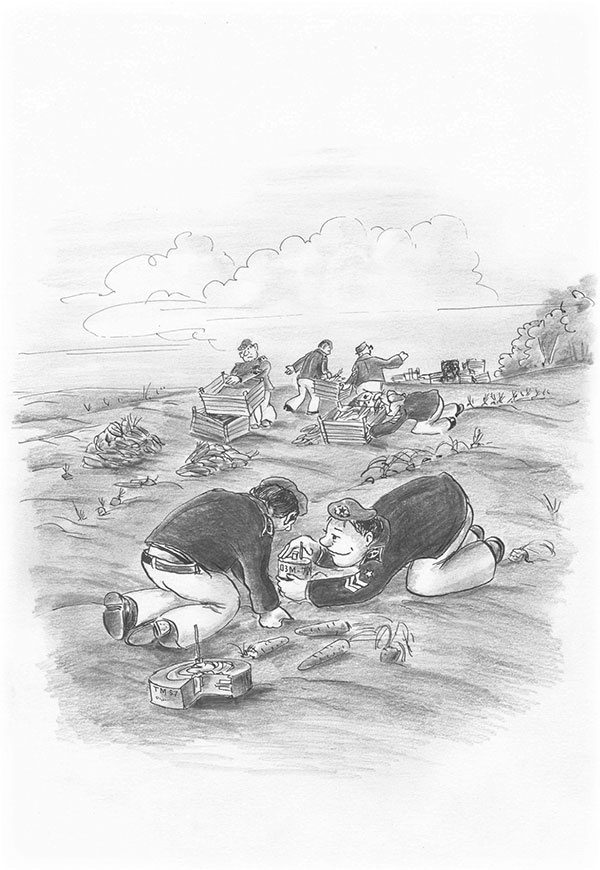 Иллюстрация к книге — Система (сборник) [i_007.jpg]