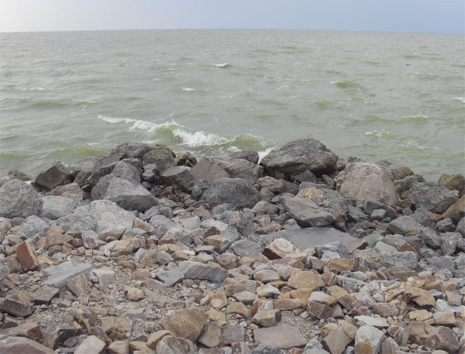 Иллюстрация к книге — Високосный, 2008 год [i_010.jpg]