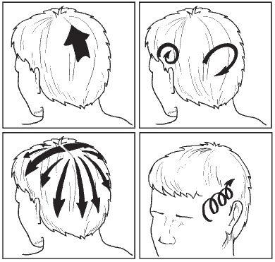 Иллюстрация к книге — Головная боль. Лечение и профилактика традиционными и нетрадиционными методами [i_002.jpg]