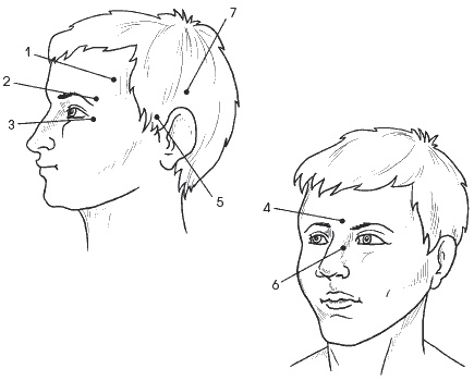 Иллюстрация к книге — Головная боль. Лечение и профилактика традиционными и нетрадиционными методами [i_003.jpg]