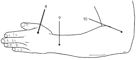 Иллюстрация к книге — Головная боль. Лечение и профилактика традиционными и нетрадиционными методами [i_004.jpg]