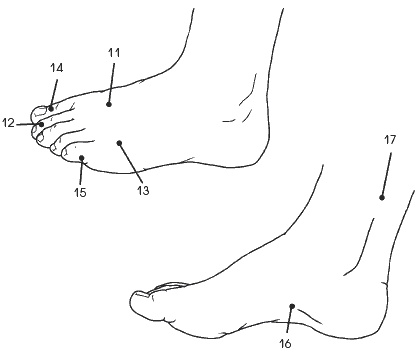 Иллюстрация к книге — Головная боль. Лечение и профилактика традиционными и нетрадиционными методами [i_005.jpg]