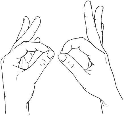 Иллюстрация к книге — Головная боль. Лечение и профилактика традиционными и нетрадиционными методами [i_011.jpg]