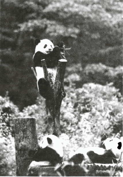 Иллюстрация к книге — Китай. Большой исторический путеводитель [i_002.jpg]