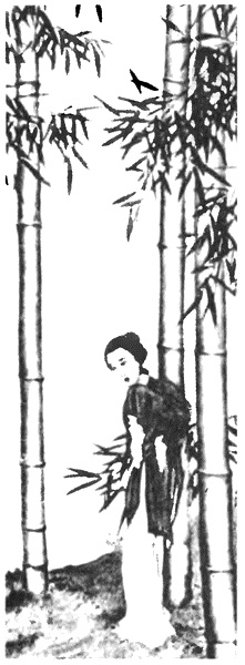 Иллюстрация к книге — Китай. Большой исторический путеводитель [i_053.jpg]