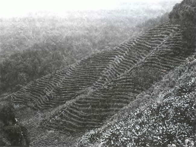 Иллюстрация к книге — Китай. Большой исторический путеводитель [i_231.jpg]