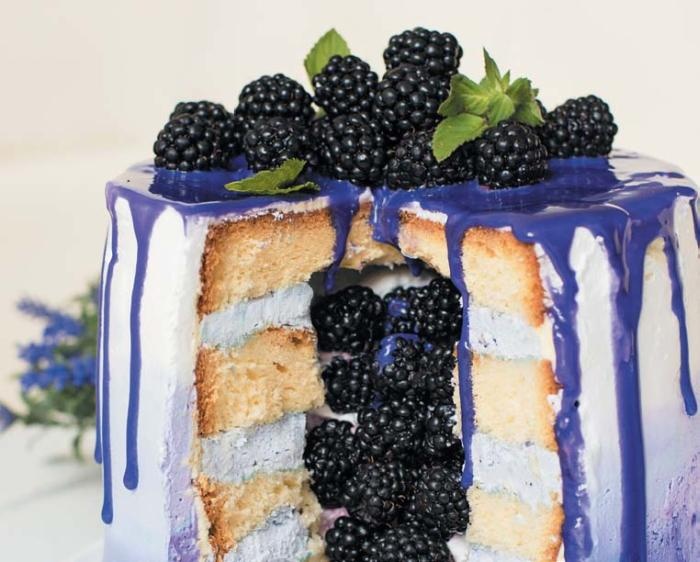 Иллюстрация к книге — Торты с сюрпризом. Шоколадные, сливочные, кофейные, желейные, ореховые, фруктовые [_100_2.jpg]