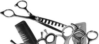 Иллюстрация к книге — Хранитель забытых вещей [i_008.jpg]