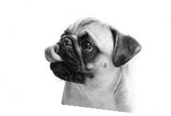 Иллюстрация к книге — Хранитель забытых вещей [i_022.jpg]