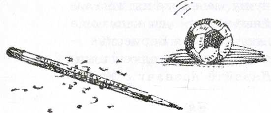 Иллюстрация к книге — Дневник Мишки Клюшкина [i_010.jpg]