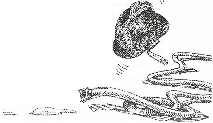 Иллюстрация к книге — Дневник Мишки Клюшкина [i_019.jpg]