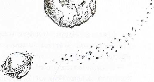 Иллюстрация к книге — Дневник Мишки Клюшкина [i_033.jpg]