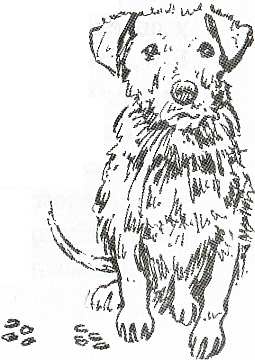 Иллюстрация к книге — Дневник Мишки Клюшкина [i_049.jpg]