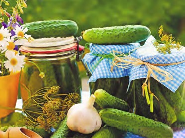 Иллюстрация к книге — Быстрое консервирование. Холодное и горячее. Овощи, грибы, зелень, фрукты, ягоды [_01.jpg]