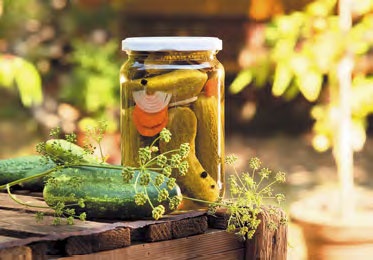 Иллюстрация к книге — Быстрое консервирование. Холодное и горячее. Овощи, грибы, зелень, фрукты, ягоды [_04.jpg]