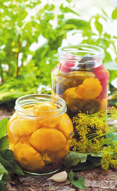 Иллюстрация к книге — Быстрое консервирование. Холодное и горячее. Овощи, грибы, зелень, фрукты, ягоды [_09.jpg]