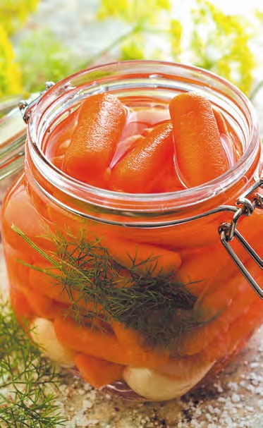 Иллюстрация к книге — Быстрое консервирование. Холодное и горячее. Овощи, грибы, зелень, фрукты, ягоды [_23.jpg]