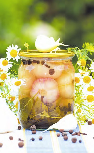 Иллюстрация к книге — Быстрое консервирование. Холодное и горячее. Овощи, грибы, зелень, фрукты, ягоды [_25.jpg]