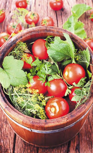 Иллюстрация к книге — Быстрое консервирование. Холодное и горячее. Овощи, грибы, зелень, фрукты, ягоды [_33.jpg]