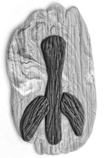 Иллюстрация к книге — Больше чем речь. Как управлять мимикой, жестами и интонацией [i_050.jpg]