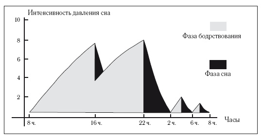 Иллюстрация к книге — 8 недель для победы над бессонницей. Как самостоятельно наладить сон [i_010.jpg]