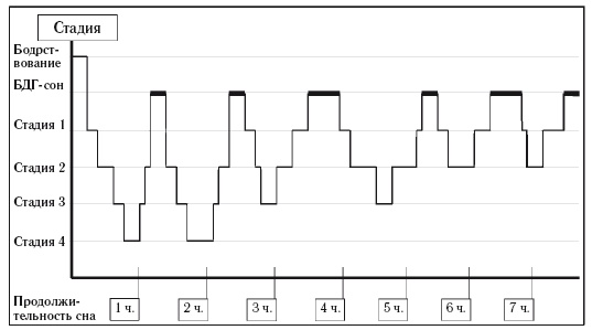 Иллюстрация к книге — 8 недель для победы над бессонницей. Как самостоятельно наладить сон [i_022.jpg]