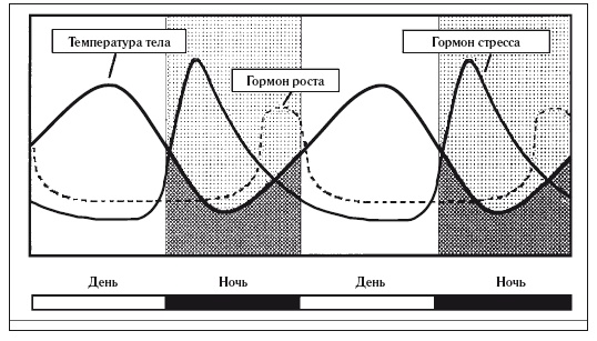 Иллюстрация к книге — 8 недель для победы над бессонницей. Как самостоятельно наладить сон [i_027.jpg]