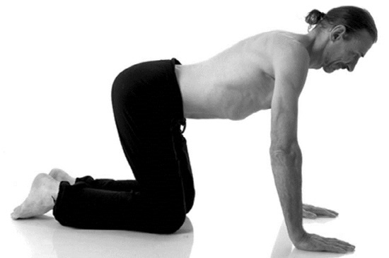 Иллюстрация к книге — Йога. Лучшие комплексы. Профилактика свыше 100 заболеваний Уцененный товар (№1) [i_042.jpg]