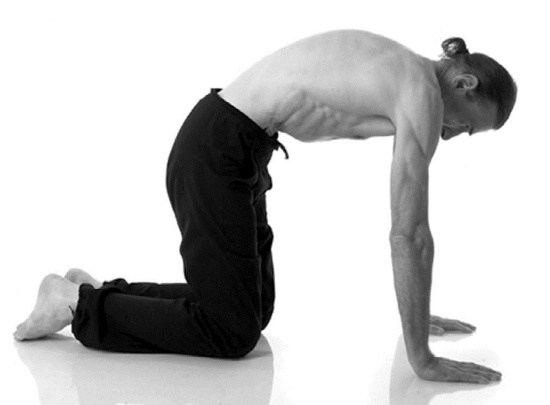 Иллюстрация к книге — Йога. Лучшие комплексы. Профилактика свыше 100 заболеваний Уцененный товар (№1) [i_043.jpg]