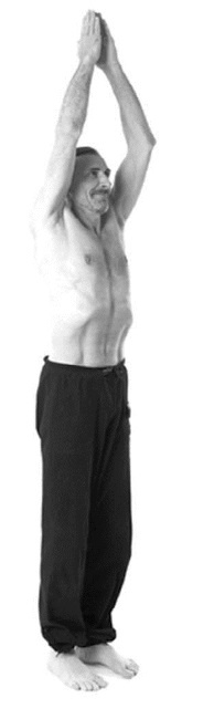 Иллюстрация к книге — Йога. Лучшие комплексы. Профилактика свыше 100 заболеваний Уцененный товар (№1) [i_054.jpg]