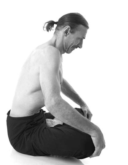 Иллюстрация к книге — Йога. Лучшие комплексы. Профилактика свыше 100 заболеваний Уцененный товар (№1) [i_064.jpg]